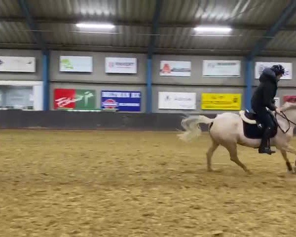 Video of Sissi 852