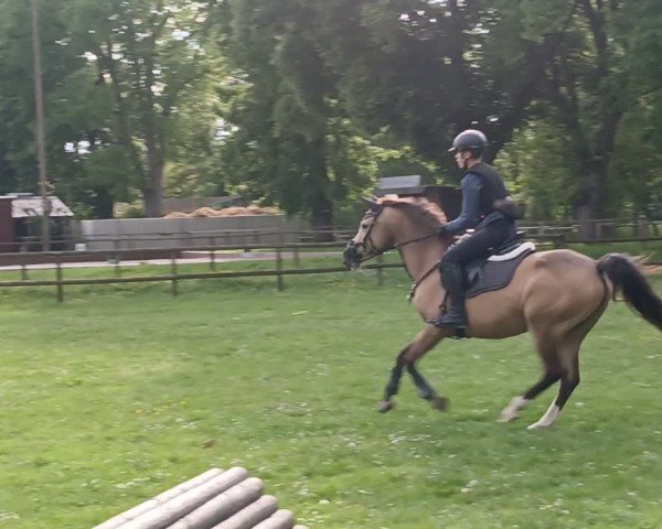Video of Orchid's Olyvia