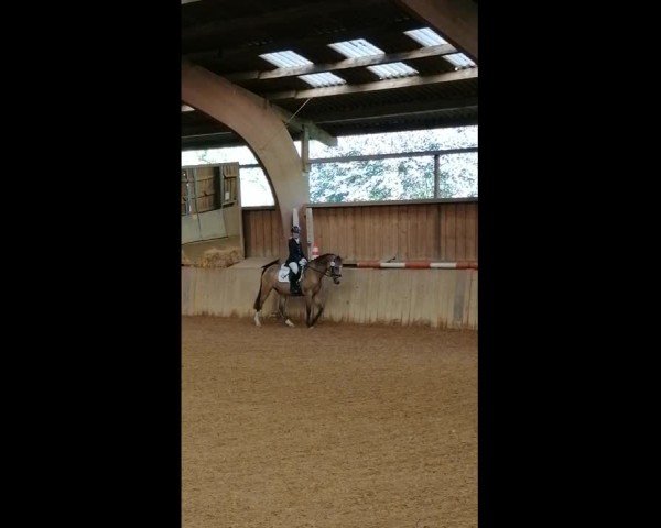 Video of Orchid's Olyvia