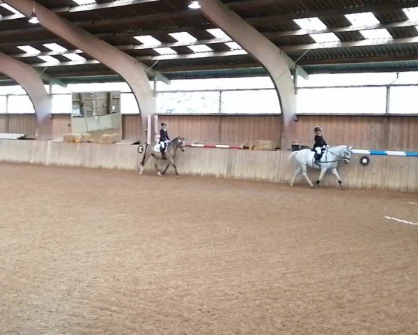 Video of Orchid's Olyvia