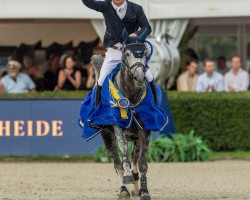 jumper Hhs Mercedes (Irish Sport Horse, 2017, from Can Ya Makan)