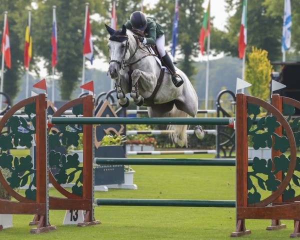jumper Jasmim Da Hermida (unknown, 2014, from Milton du Murier)