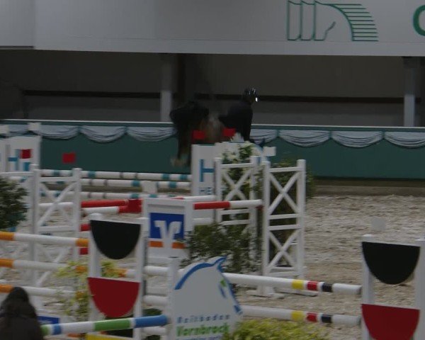 Reitturnier Gahlen 2025