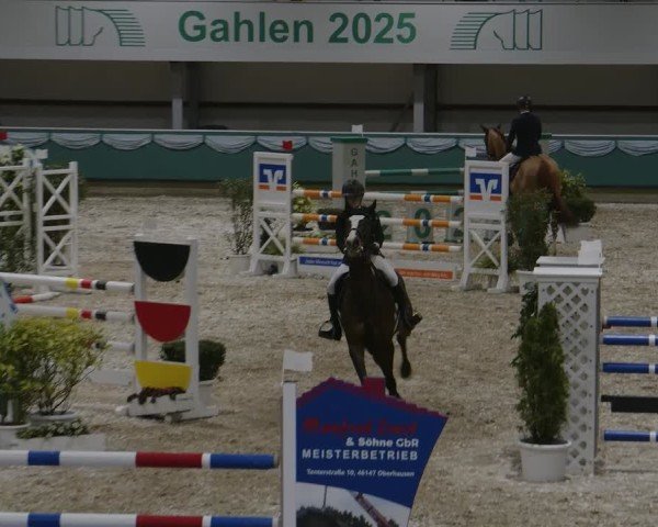 Reitturnier Gahlen 2025