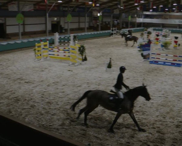 Reitturnier Gahlen 2025