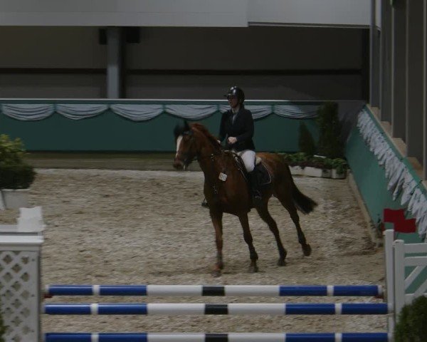 Reitturnier Gahlen 2025