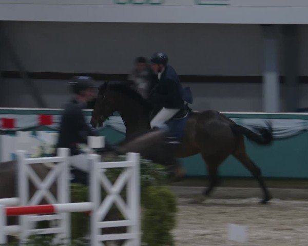 Reitturnier Gahlen 2025