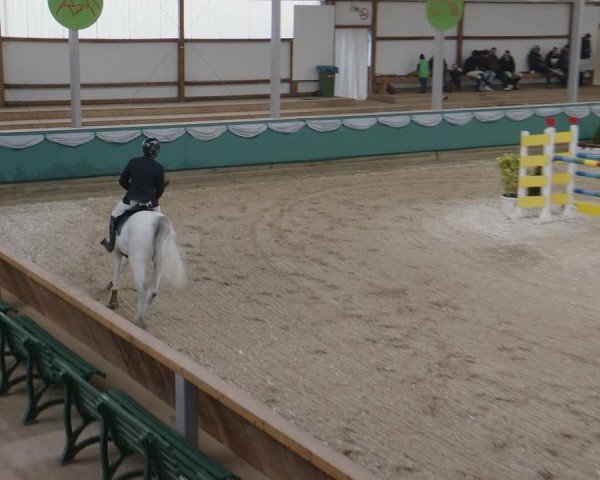 Reitturnier Gahlen 2025