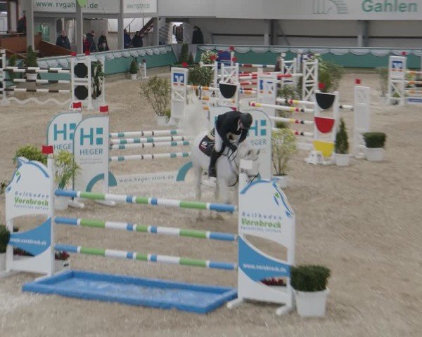 Reitturnier Gahlen 2025