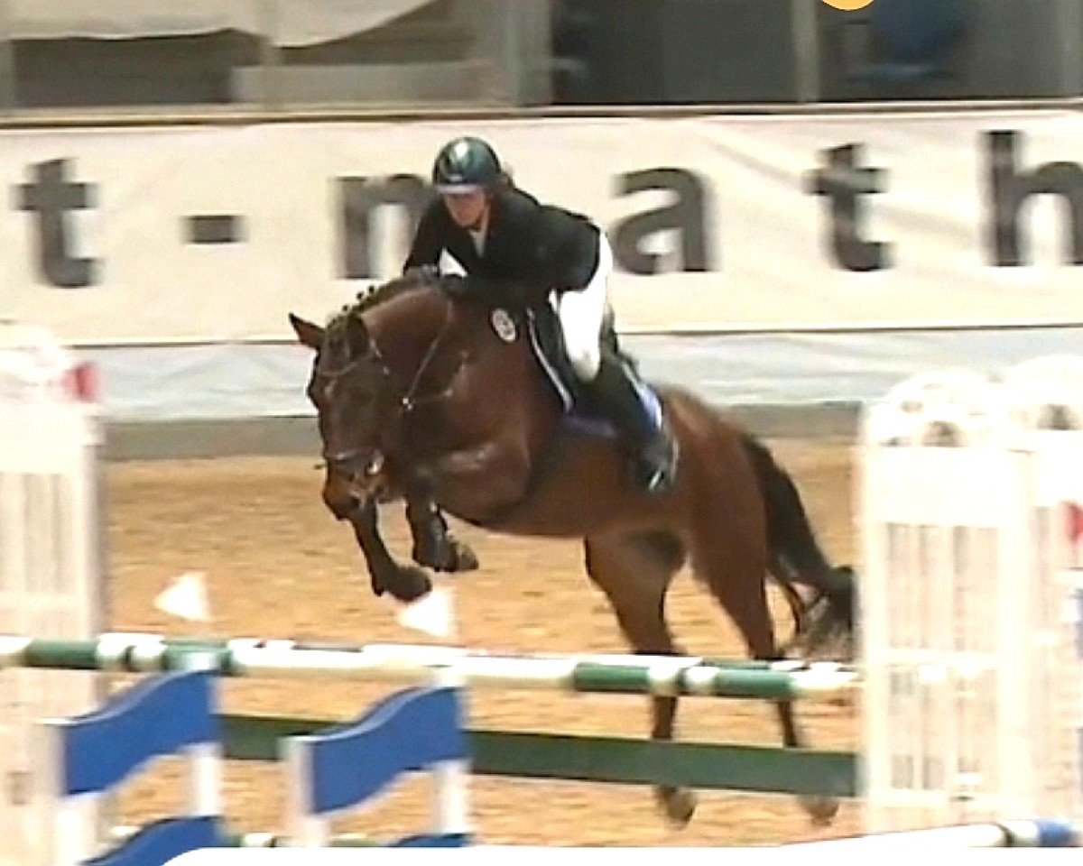 jumper Essah (Westphalian, 2019, from Eldorado van de Zeshoek)