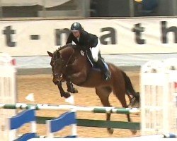 Springpferd Essah (Westfale, 2019, von Eldorado van de Zeshoek)