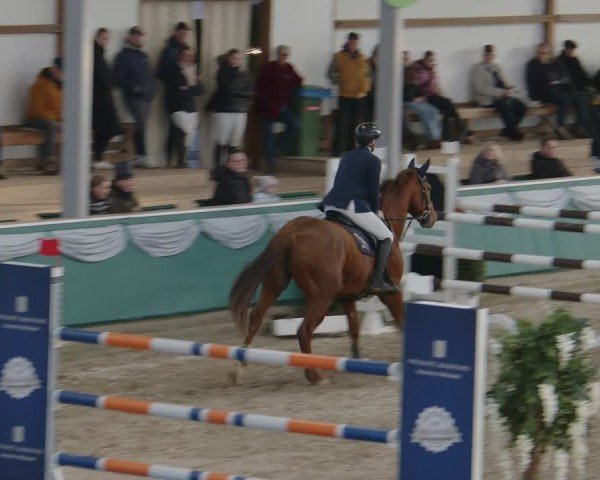 Reitturnier Gahlen 2025