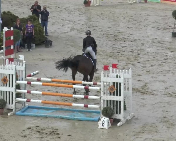 Voßwinkeler Reitertage 2013