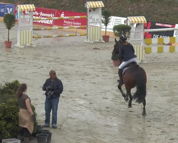 Voßwinkeler Reitertage 2013