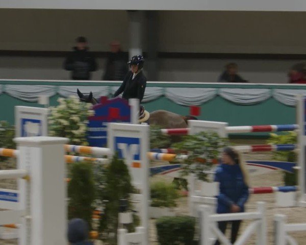 Reitturnier Gahlen 2025
