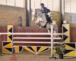 jumper Virgin (Holsteiner, 2005, from Contender)