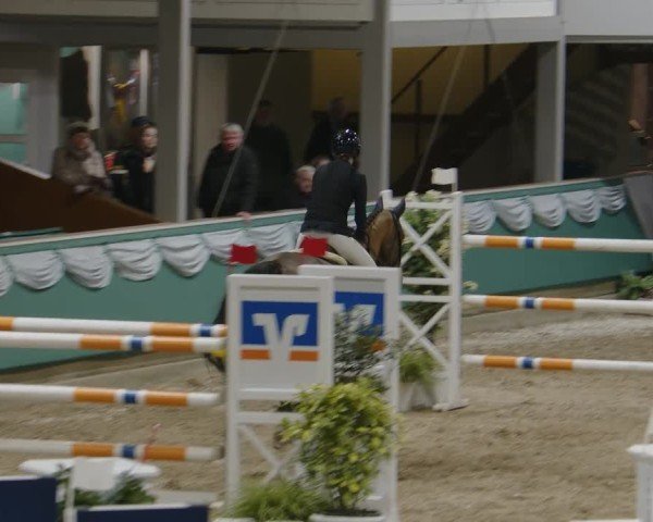 Reitturnier Gahlen 2025