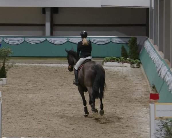 Reitturnier Gahlen 2025