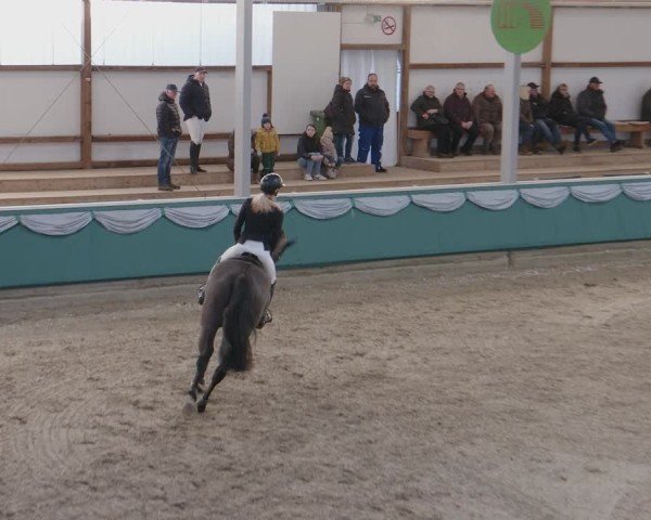 Reitturnier Gahlen 2025