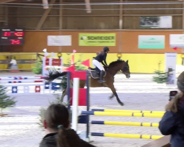 Reitturnier Dielsdorf 2025