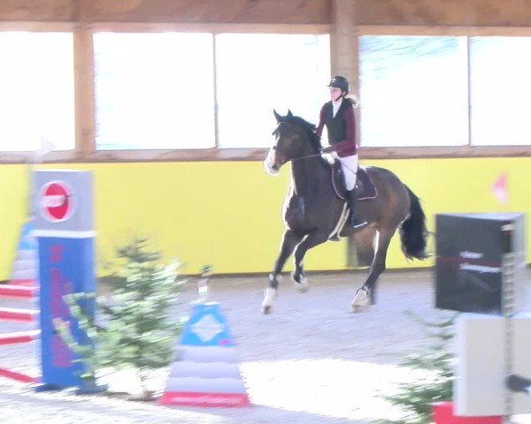 Reitturnier Dielsdorf 2025