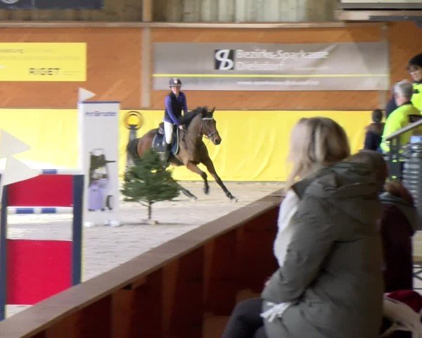 Reitturnier Dielsdorf 2025