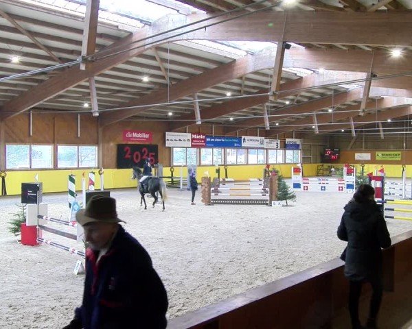 Reitturnier Dielsdorf 2025