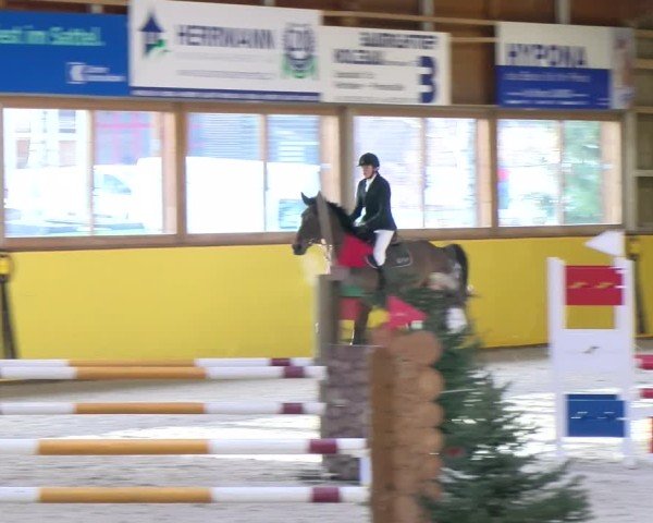 Reitturnier Dielsdorf 2025