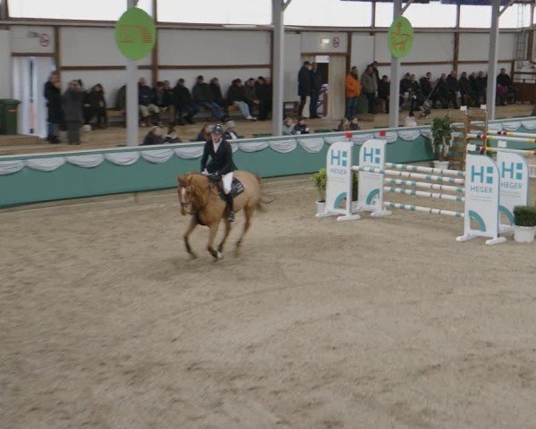 Reitturnier Gahlen 2025