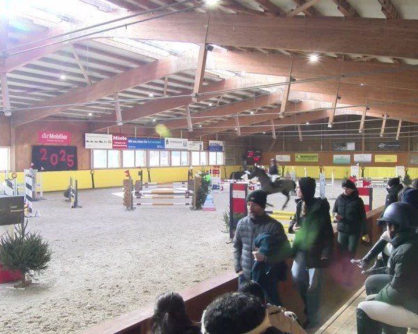 Reitturnier Dielsdorf 2025