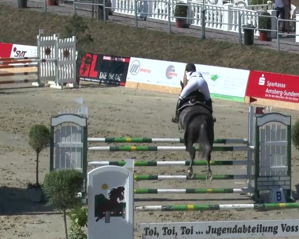 Voßwinkeler Reitertage 2013