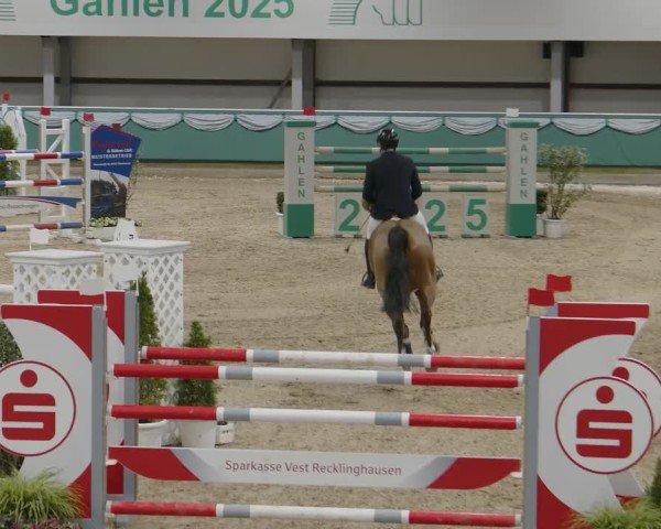 Reitturnier Gahlen 2025