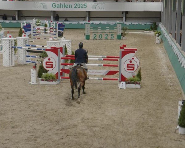Reitturnier Gahlen 2025