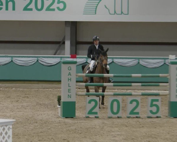 Reitturnier Gahlen 2025