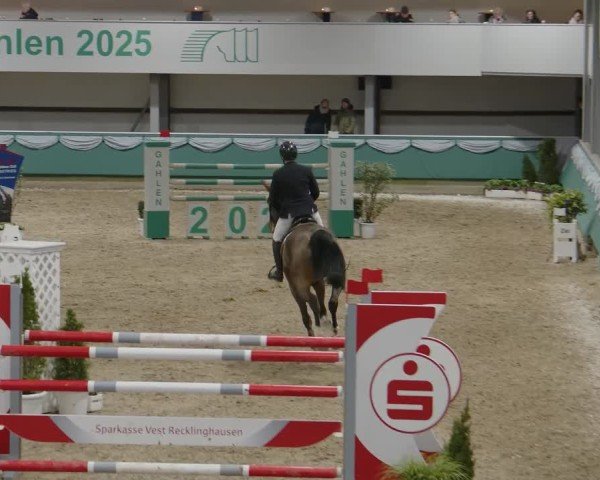 Reitturnier Gahlen 2025