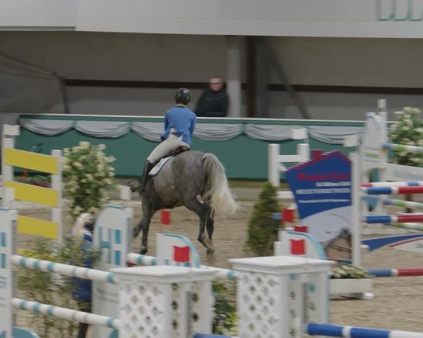 Reitturnier Gahlen 2025