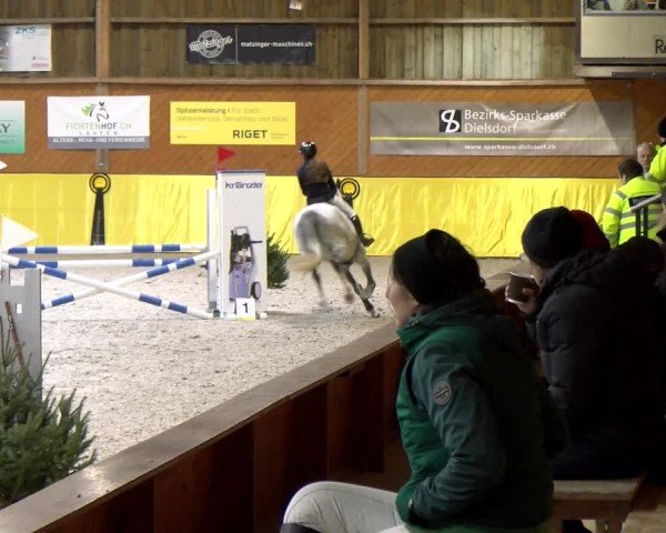 Reitturnier Dielsdorf 2025
