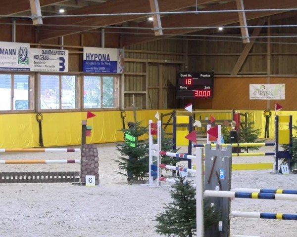 Reitturnier Dielsdorf 2025