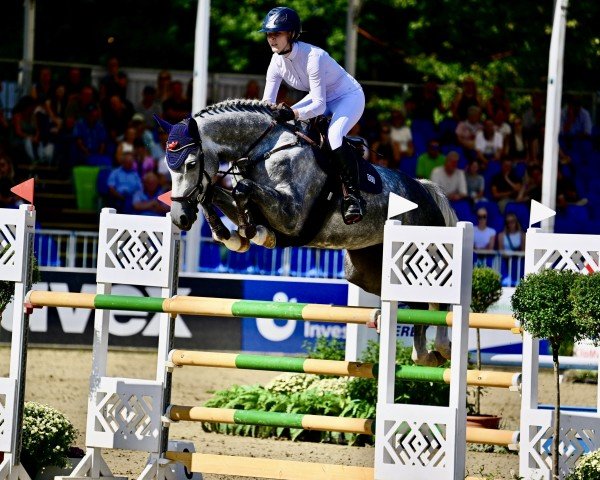 Springpferd Palina R (Deutsches Sportpferd, 2018, von Diacontinus) Springpferd Palina R (Deutsches Sportpferd, 2018, von Diacontinus)