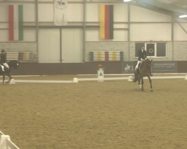Reitturnier Bottrop-Kirchhellen 2025