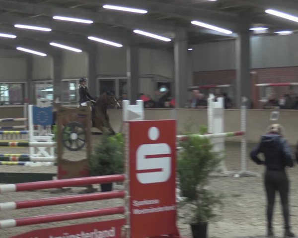 Reitturnier Ahaus 2021