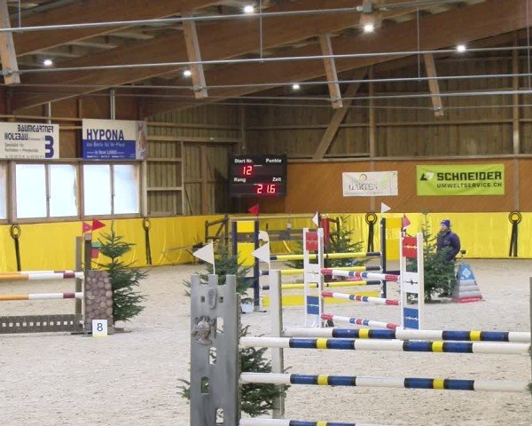 Reitturnier Dielsdorf 2025