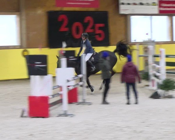 Reitturnier Dielsdorf 2025