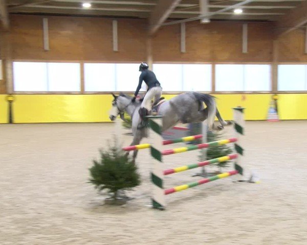 Reitturnier Dielsdorf 2025