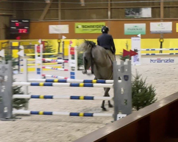 Reitturnier Dielsdorf 2025