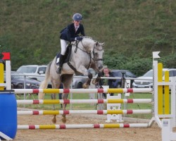 Springpferd Center Court 3 (Westfale, 2016, von Cascavelle NT)