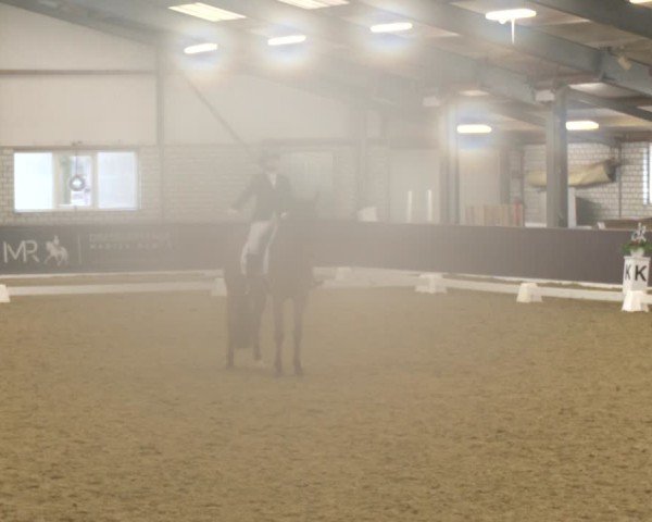 Reitturnier Bottrop-Kirchhellen 2025