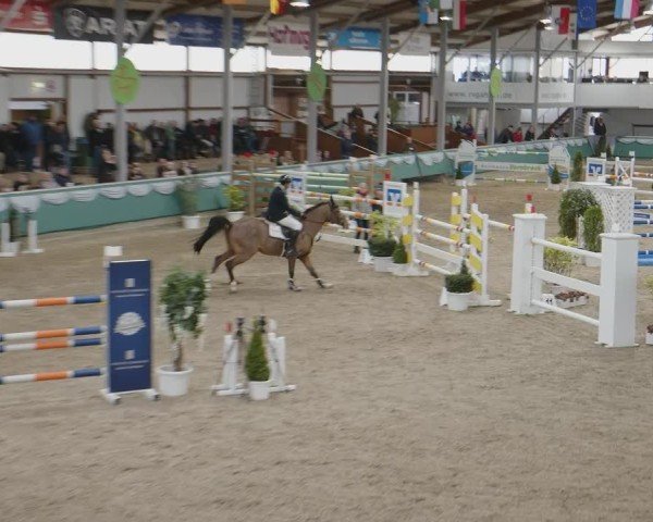 Reitturnier Gahlen 2025