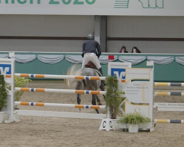 Reitturnier Gahlen 2025