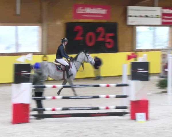 Reitturnier Dielsdorf 2025